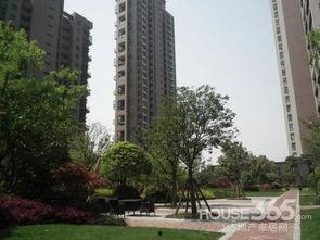 杭州东方郡爆料最新消息,揭秘神秘项目背后的真相  第2张